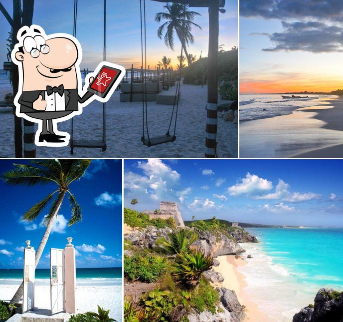 Mayora TULUM
