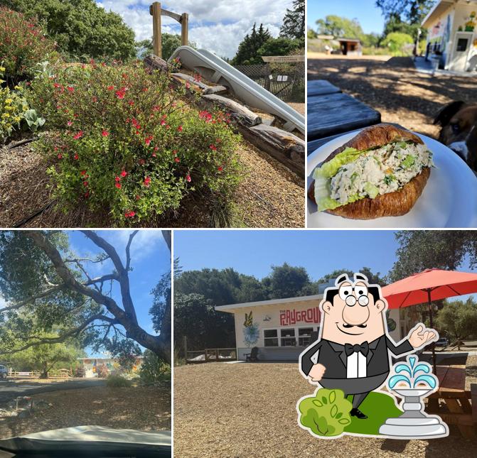 Wylde Provisions Co. (Playground & Café)