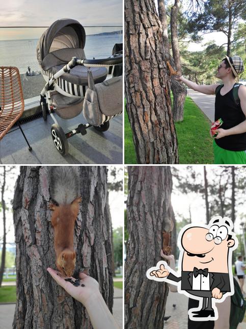 ПАЛУБА DISKO BAR