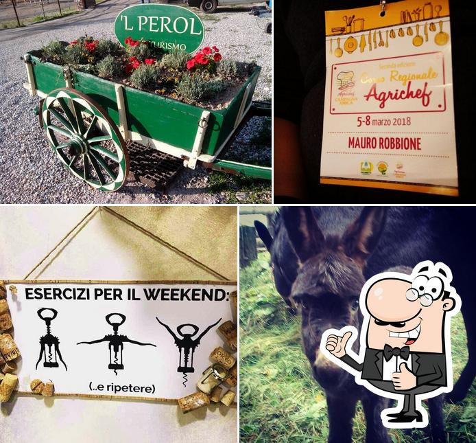 Agriturismo 'L Perol