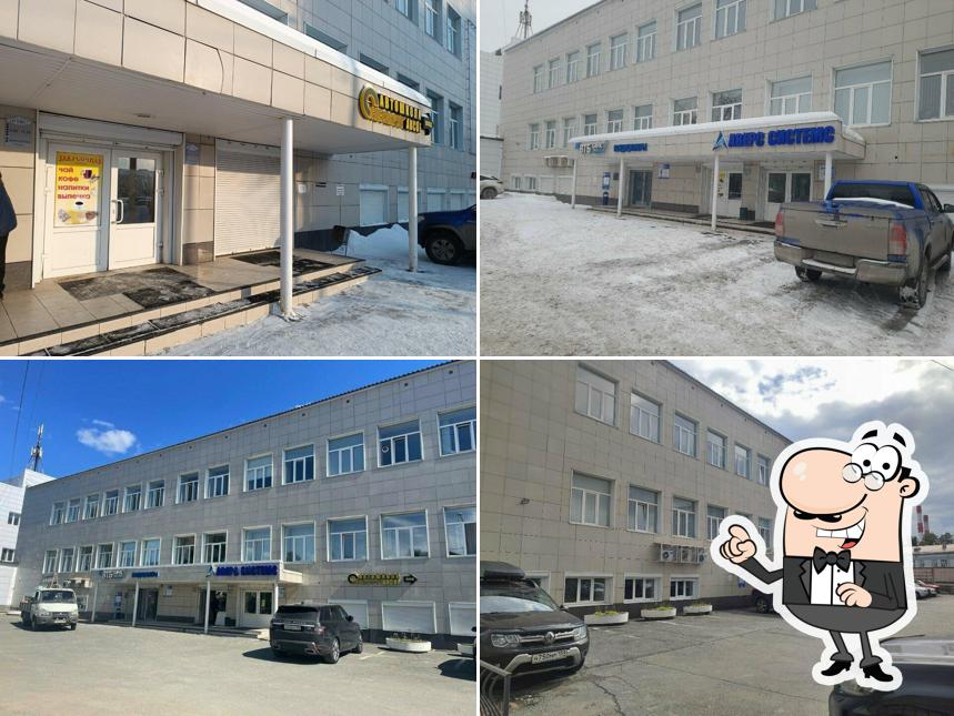Бегемот