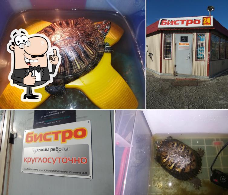 Бистро