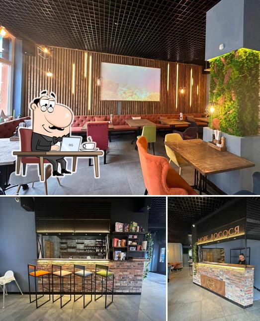 Посмотрите на внутренний интерьер "Море лосося"