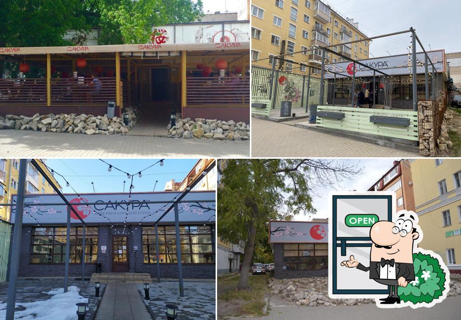 Сакура