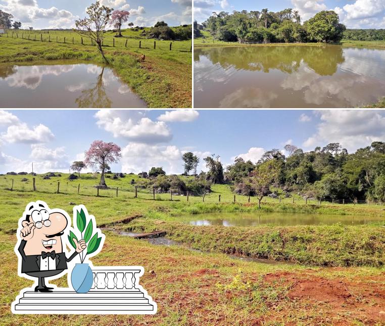 Pesque e Pague Mané do Juquinha