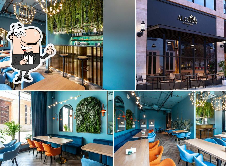 Интерьер "Alcedo"