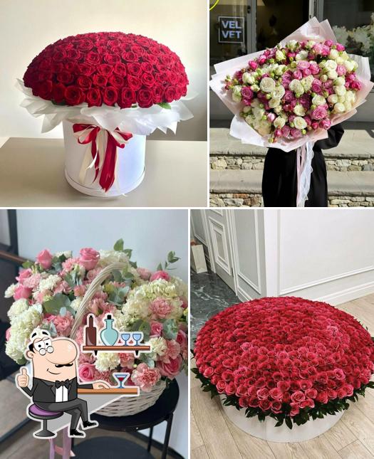 ⁠Velvet Flowers