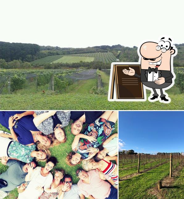 Willow Creek Vineyard
