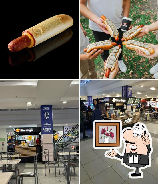 Stardogs