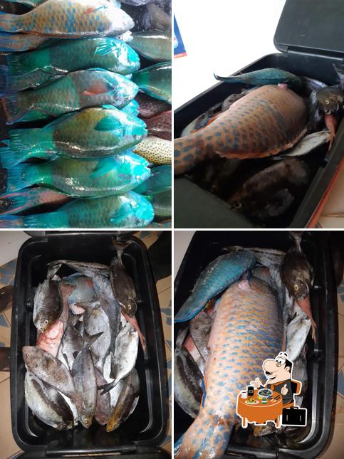 KGM Fish Point