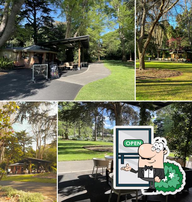 WYM Geelong Botanic Gardens