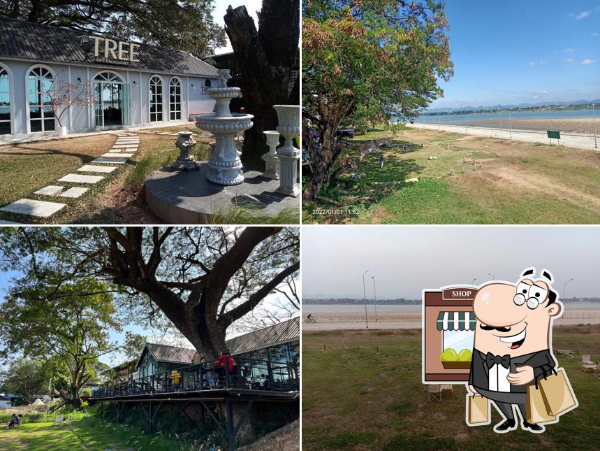 The TREE Cafe&Restaurant