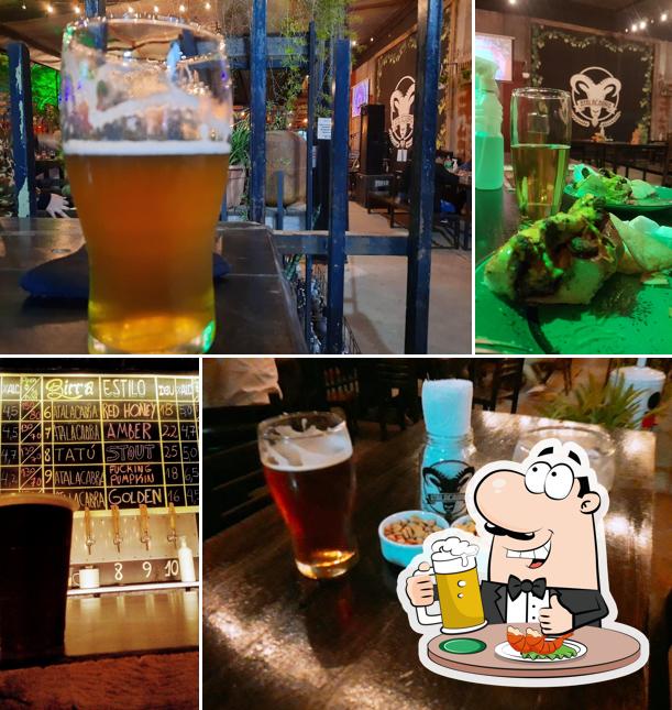 ATALACABRA Patio Cervecero