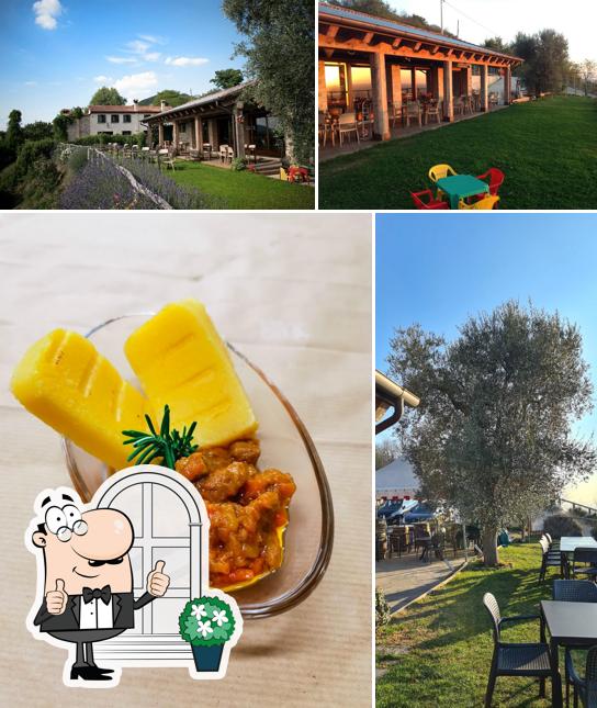 Azienda agricola agrituristica Il Murale