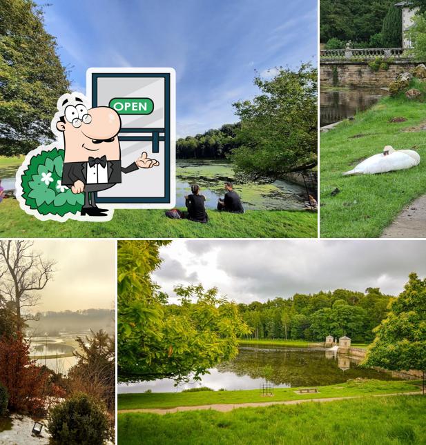 Studley Tearoom