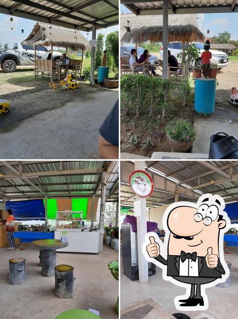ล้านกะเพราถาดยักษ์