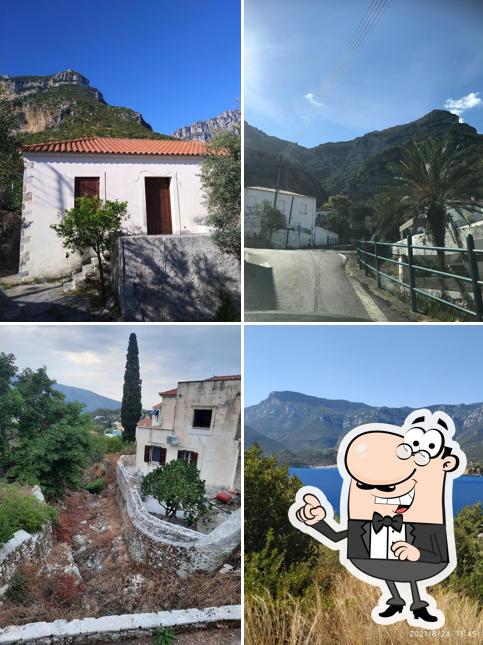 Τό όμορφο κυπαρίσσι