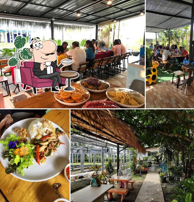ฟาร์มสุขไฮโดรโปรนิกส์ & คาเฟ่ พิจิตร