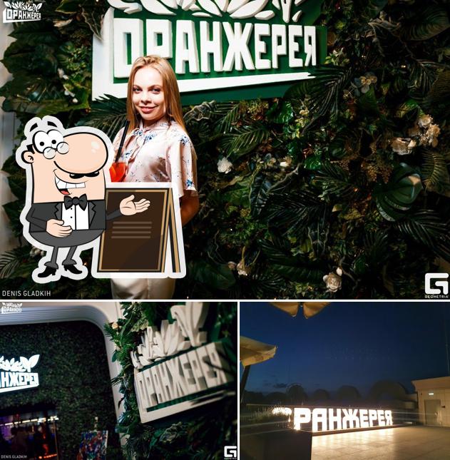 Внешнее оформление "Оранжереи ПОЁТ"