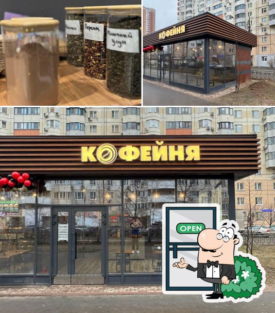 Лапа Кота