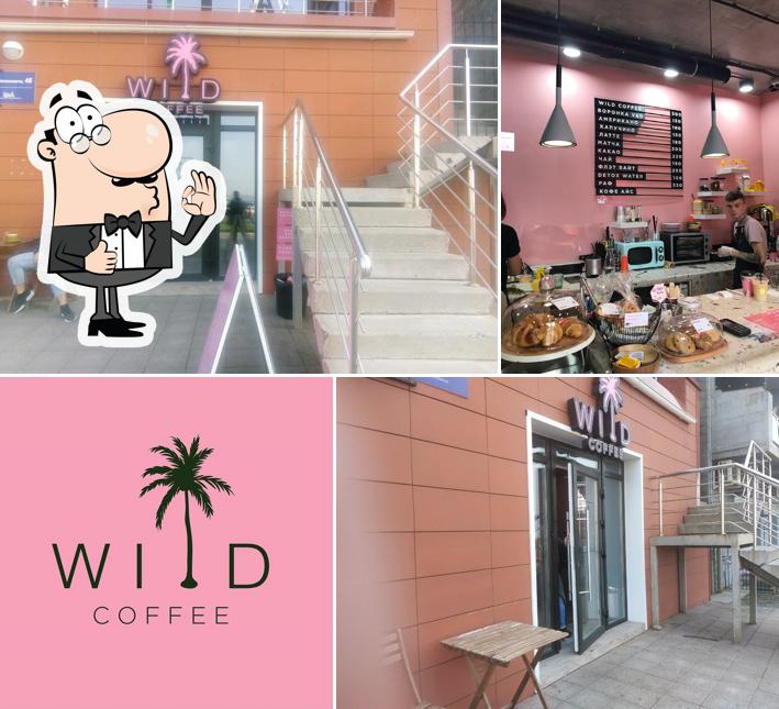 Wild Coffee
