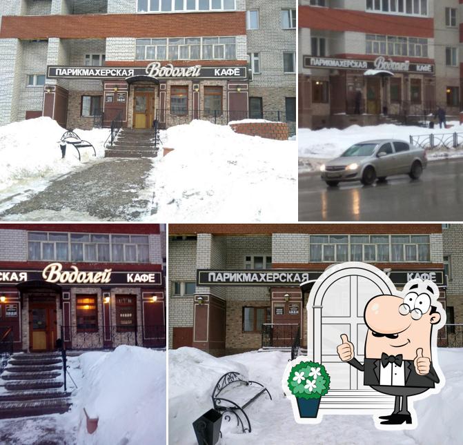 Водолей