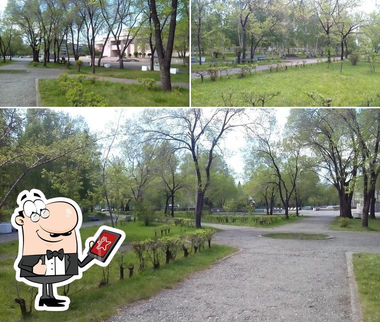 Кулинария
