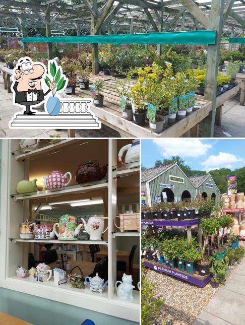 Whitesyke Garden Centre Of Longtown
