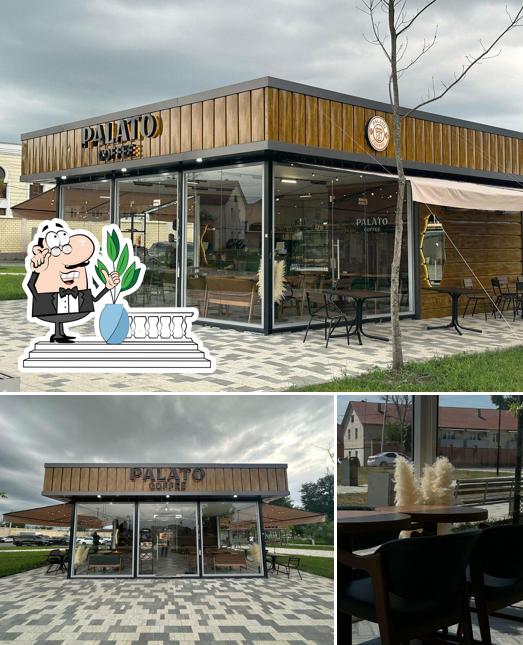 Palato