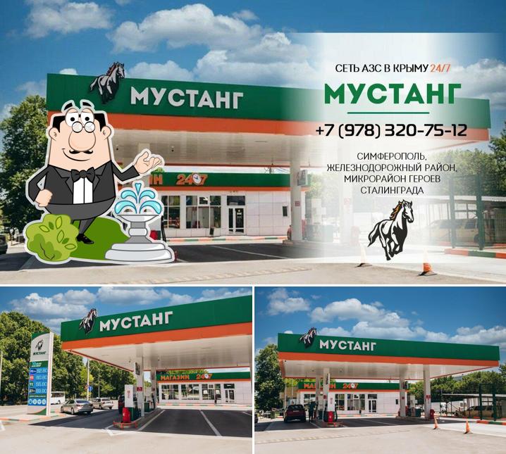 Наслаждайтесь видом , который открывается из "Мустанг"