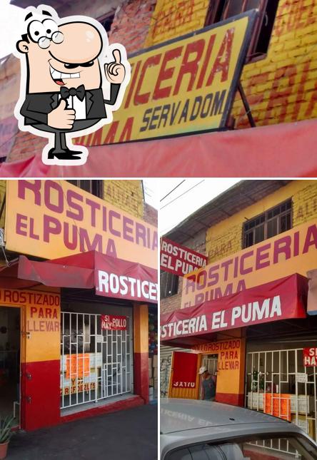 EL PUMA