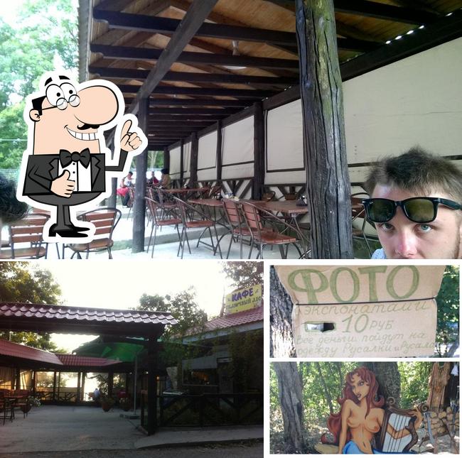 Сказочный лес