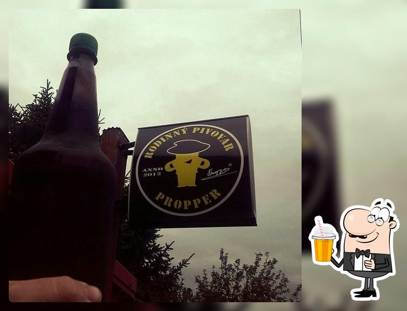 Mikropivovárek Propper