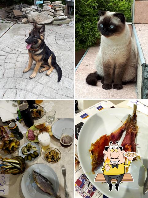 Розливное пиво у Яника