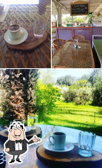 Olive Cafe