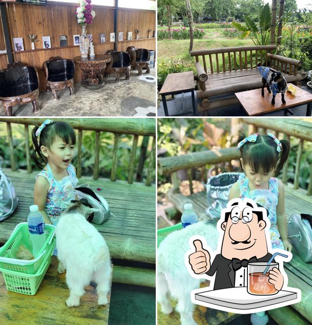Uncle Pong Mini Zoo and Cafe - สวนลุงพงศ์มินิซูแอนด์คาเฟ่