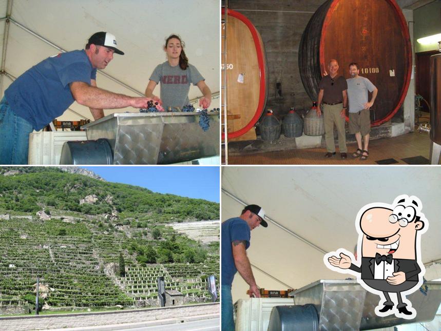 Belmonte Cellars