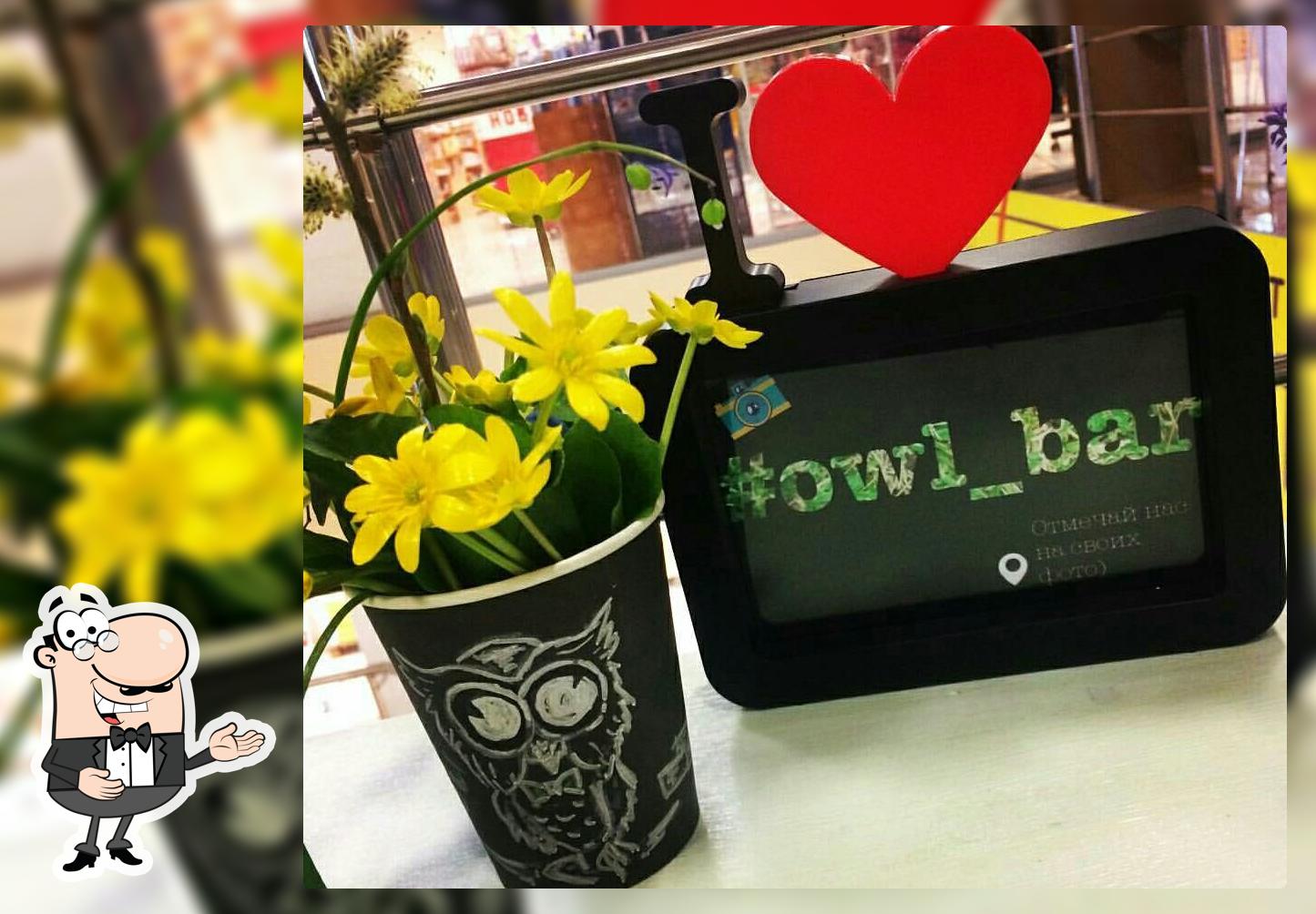 Owl_bar