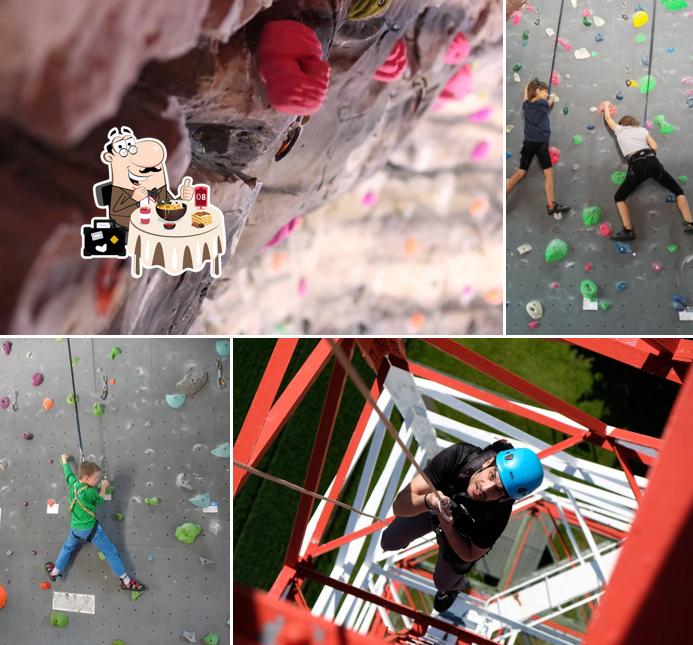 Gecko climbing Sàrl