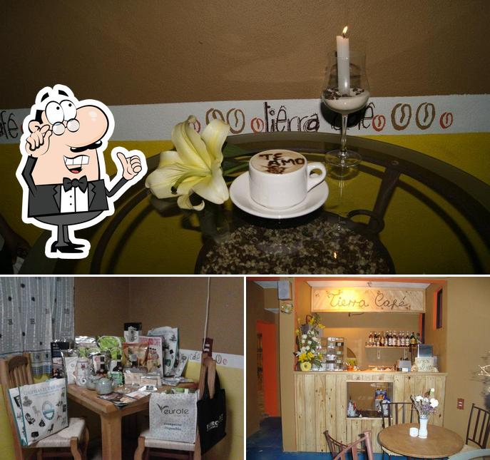 Tierra CAFÉ