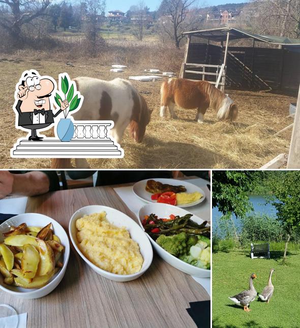 Tenuta Aquasole, Hotel e Ristorante nella natura, Sale Meeting e Centro Congressi Aziendali a Mercallo