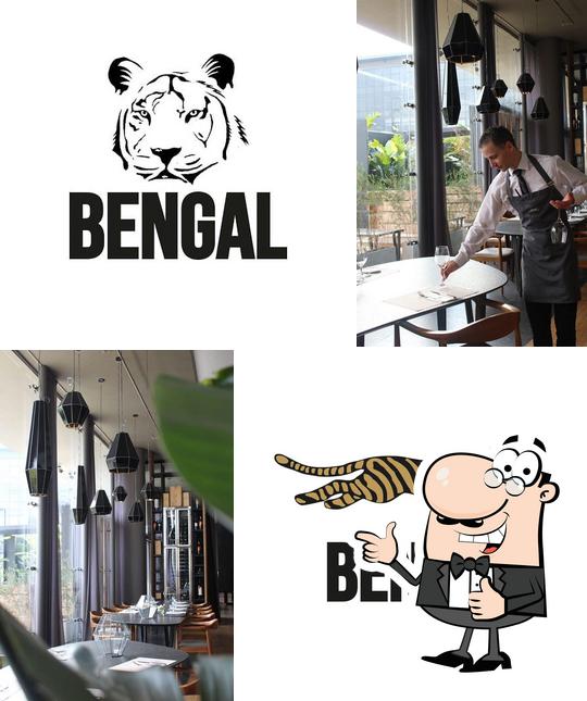 Bengal Pilar