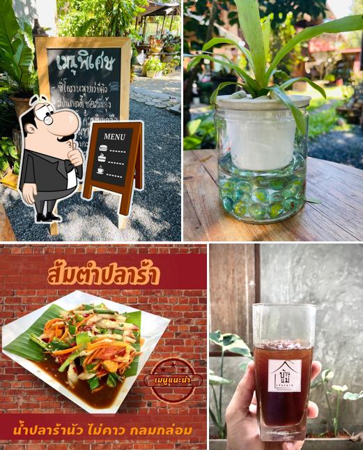 สนทนากาแฟแม่ริม(Sontana)
