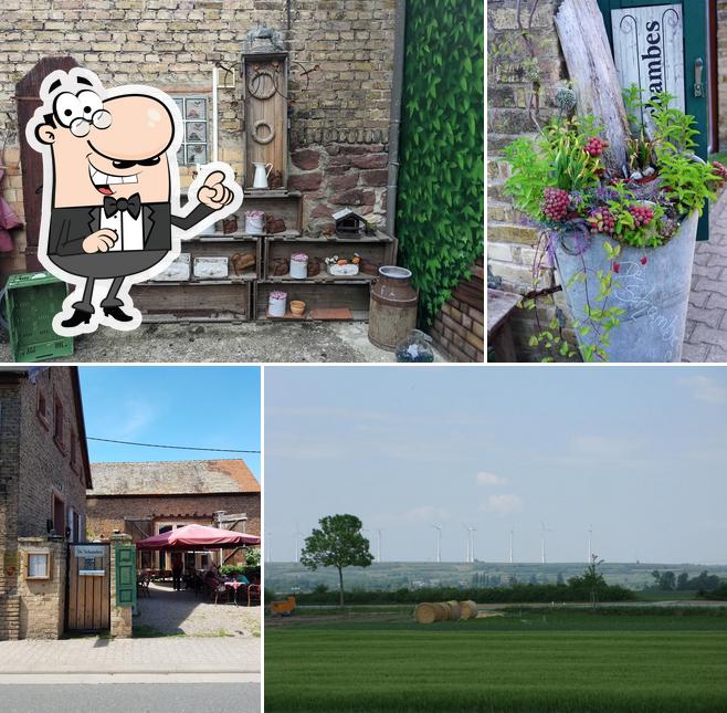 De Schambes