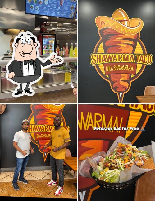 Shawarma Taco