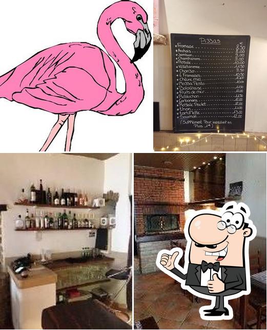 Le Flamand Rose