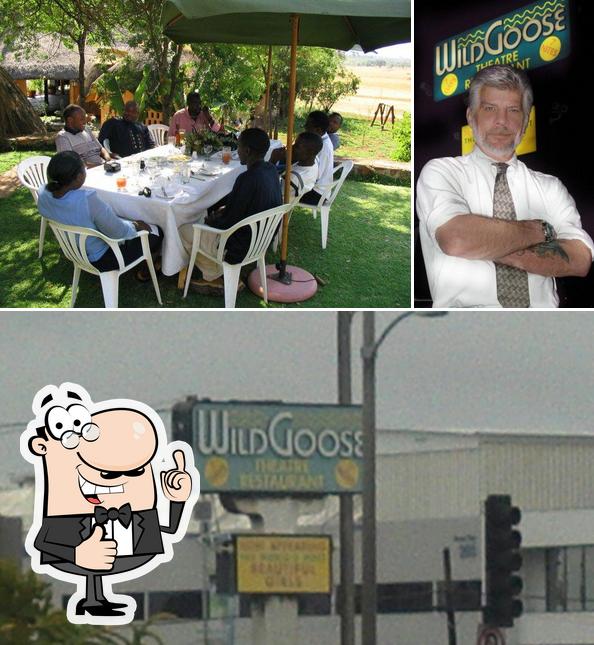Wild Goose