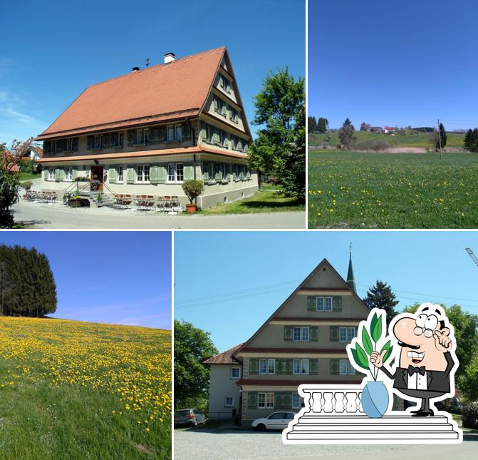 Ochsen