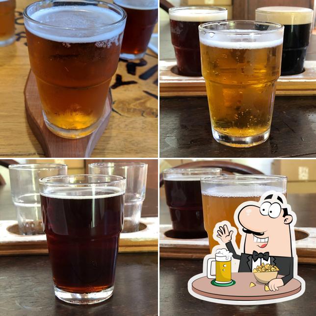 Scenic Rim Brewery