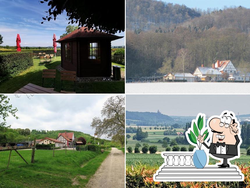 Café am Waldkater